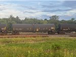 TCBX 306812